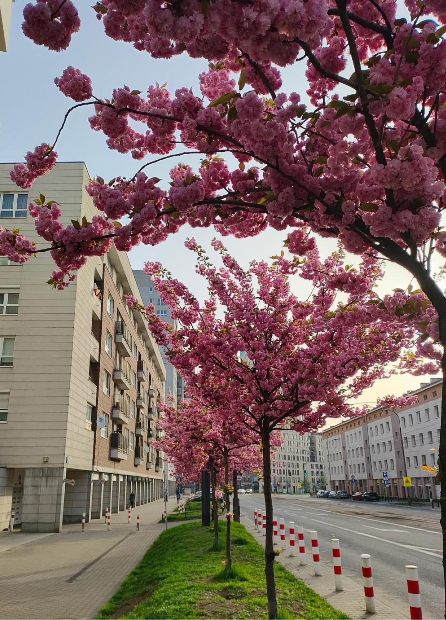 Ferienwohnung Totutotam Warschau Exterior foto